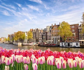 Amsterdam Layover Tour